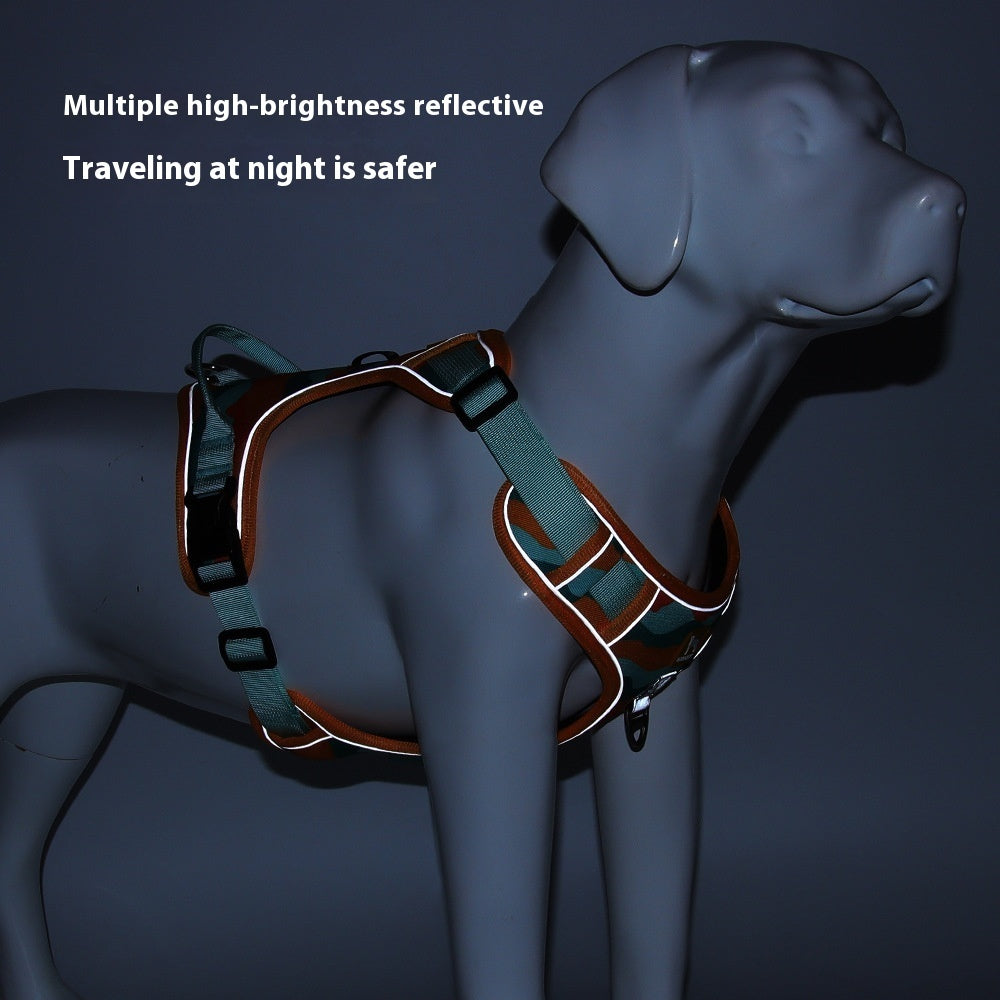 Reflective Dog Leash – Strong, Comfortable & Safe Walks